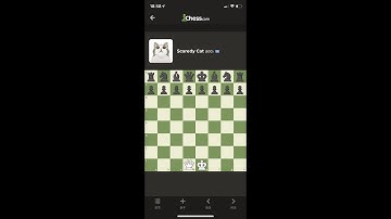 So I Beat Chess.com Scaredy Cat With Only a Queen...
