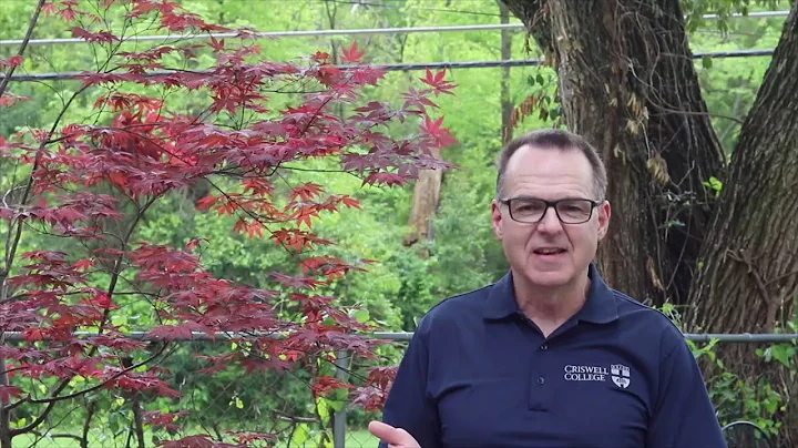 Criswell College President Barry Creamer delivers ...