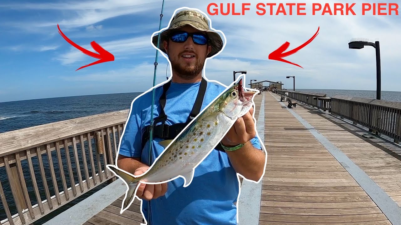 Watch THIS Video If You Want To Fish the Alabama Gulf State Pier 