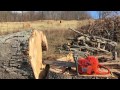 Moving Some Large Wood With Some Great Friends