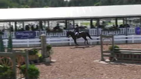 Video of CATBIRD ridden by KRYSIA NELSON from ShowNet!