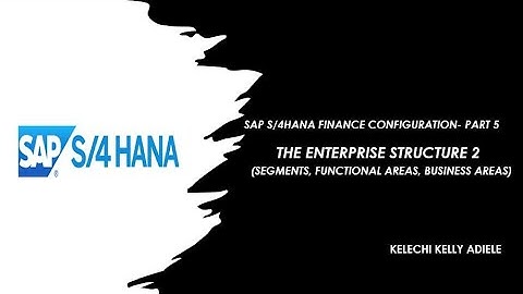 SAP S/4 HANA FINANCE CONFIGURATION -PART 5 (SEGMENTS, BUSINESS AREAS, CREDIT CONTROL AREA) BY KELLY