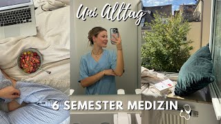 work-life Balance im Medizinstudium: Uni, Zeit mit Freunden, Sport,… II Marieke Emilia