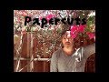 Papercuts - Walk Backwards