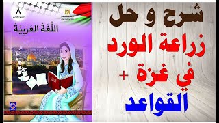 حل اسئلة و شرح درس زراعة الورد في غزة + القواعد كتاب اللغة العربية الصف الثامن الفصل الثاني فلسطين