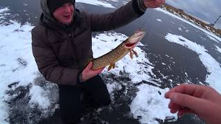 Жерлицы. Первый лед. Зимняя рыбалка на щуку.Зимняя рыбалка.Ловля на балансир.Рыбалка на мормышку.