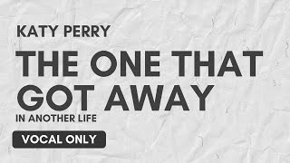 The One That Got Away - Katy Perry Vocal only - No Music project | Vocal Only with Lyrics