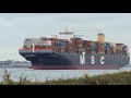 Shipspotting - Arrival and Departure compilation #224