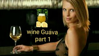 wine Guava Making part 1 طريقة   عمل نبيذ الجوافة في المنزل الجزء الاول