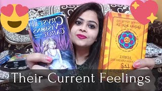 ✨Their current energy?Unki current feelings kya hain | Timeless tarot✨