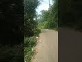 Ternyata ada Jalan Menuju Hutan di Baleendah Kab Bandung.