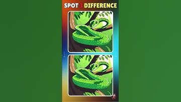 Spot The Difference : Only Genius Find Differences I Quiz Panda