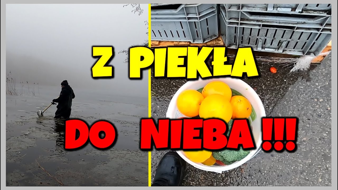 ZACZĘŁO SIĘ SŁABO, ALE OSTATECZNIE JEST SUKCES!!!#alone #pomorze #freeganizm #metaldetecting #poland