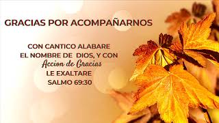 Domingo 9:00 am
