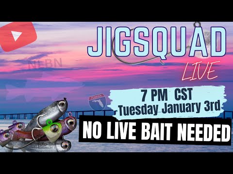 No Live Bait Needed Jig Head Boxes – Tackle World