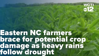 Eastern NC farmers brace for potential crop damage as heavy rains follow drought