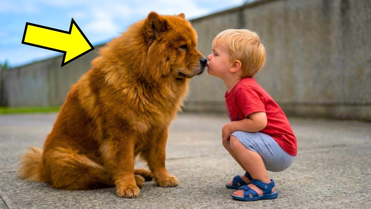 Ohne Kamera Hätten Wir Nicht Geglaubt, Was Dieses Baby Mit Dem Welpen Gemacht Hat!