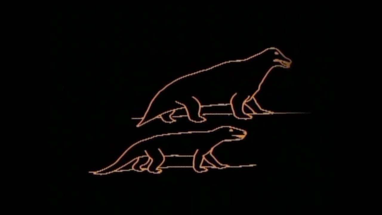 Carl Sagan-Evolution (Vangelis-Alpha cover)
