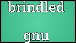 Brindled gnu Meaning