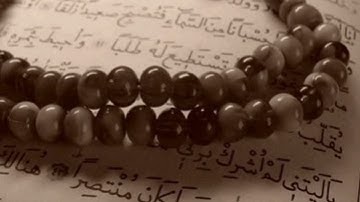 سورة الزخرف _ محمود عبدالحكم