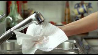 Viva Paper Towel 2010 Ad screenshot 3