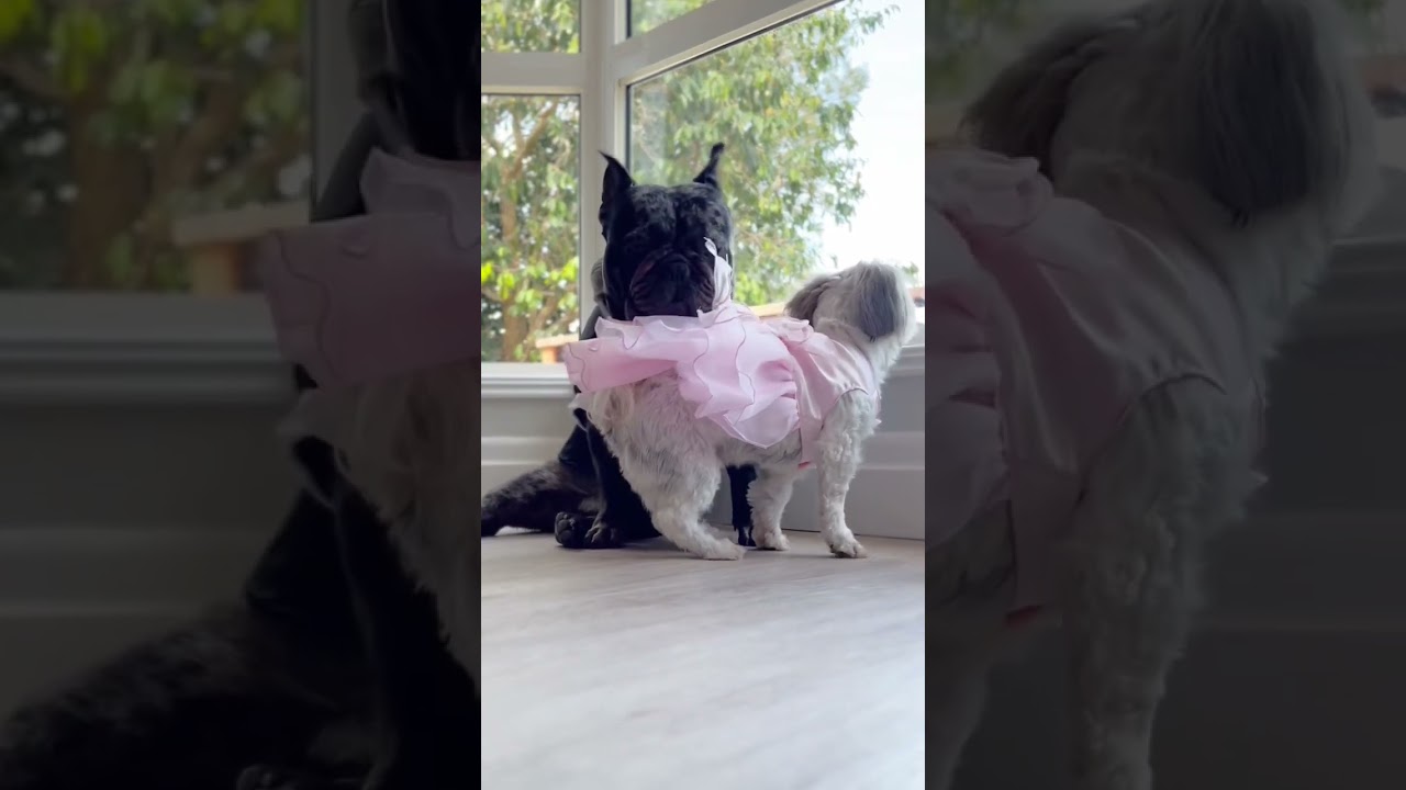 What are you wearing 