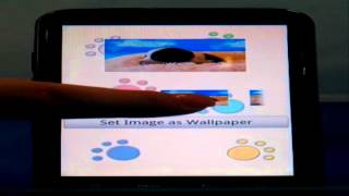 Mundo Mascotas App screenshot 5