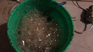Very active compost tea