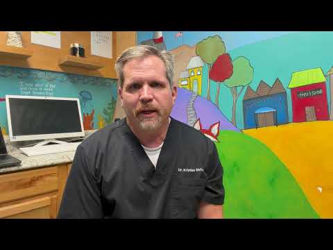 HelloNation Features Expert Veterinarian Dr. Kristian Shriver on What to Expect During a Pet Wellness Exam