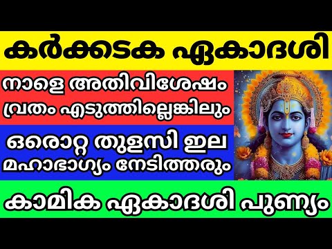 നാളെ സർവ്വഭാഗ്യങ്ങളും നൽകും കാമികാ ഏകാദശി, വ്രതം എടുത്തില്ലെങ്കിലും ഈ ഒരൊറ്റ കാര്യം Kamika Ekadashi