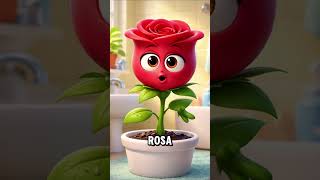 🌿✨ 5 Elementos Naturales para Limpiar tu Energía y Llenar tu Hogar de Armonía