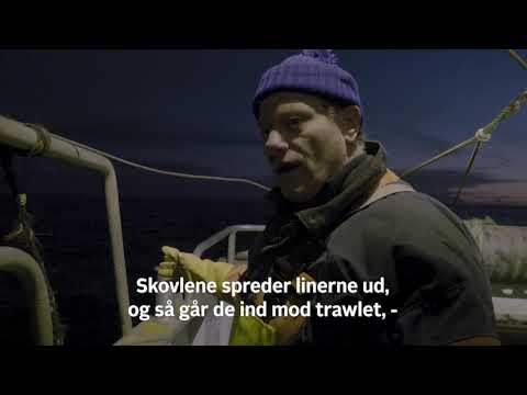 Video: Hvordan Slapper Man Billigt Af Ved Havet I 2016?