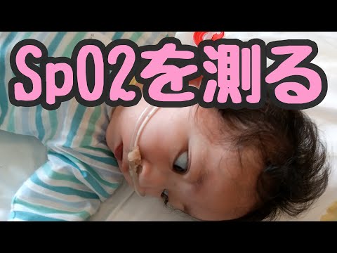 【SpO2を測る】次の手術に向けて療養中10 (心疾患乳児の酸素濃度測定・・)