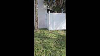 3096 NW 29TH CT OAKLAND PARK FL 33311-8388 Video 1