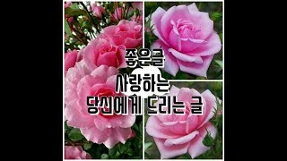 민정채널[좋은글: 사랑하는 당신에게 드리는 글]