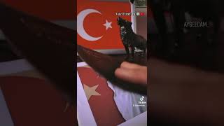 Fırat Yılmaz Çakıroğlu Iratyılmazçakıroğlu Öh