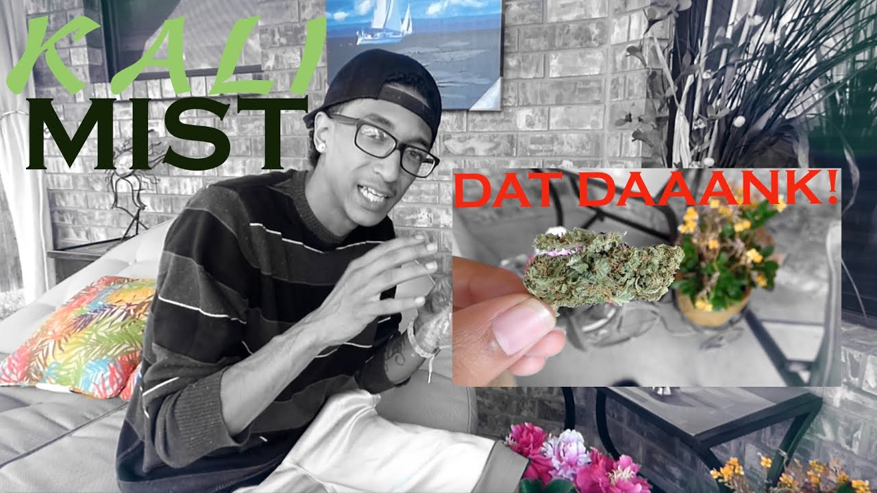 KALI MIST!! STRAIN REVIEW!! DAAANK!!