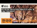 호주 야당 대표 “일부 국가 이민자 위험성 더 커” 논란에… 폴린 핸슨 “이민자 줄여야” | SBS Korean - SBS 한국어 프로그램