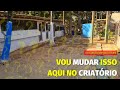 Quero MUDAR isso no CRIATORIO para a criação de galinhas