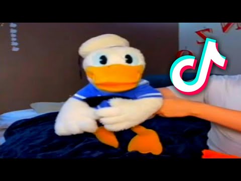 donald-ducc-tiktok-compilation-best-donald-ducc-tiktok-donald-duck