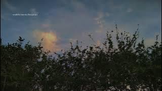 Download lagu Terimakasih ~Lelah Jika Dipikirkan Vibes sore hari (Lyrics lagu)