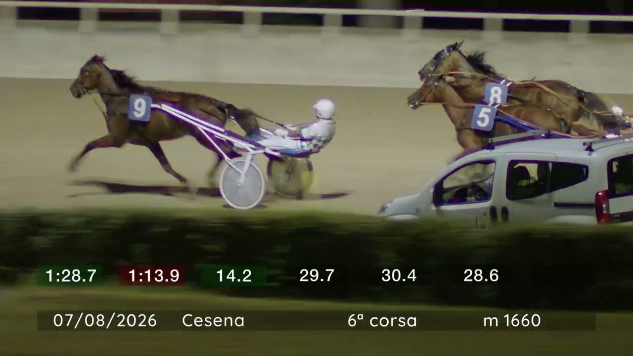 2026 08 07 | Corsa 6 | Metri 1660 | Premio Memorial Nives  Gridelli