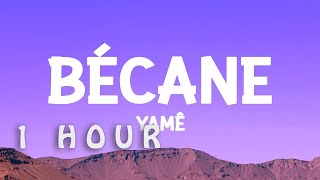 1 Hour   Yam  Bcane Paroless