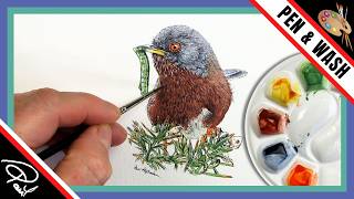 INK and WASH Bird Painting (Step-by-Step)