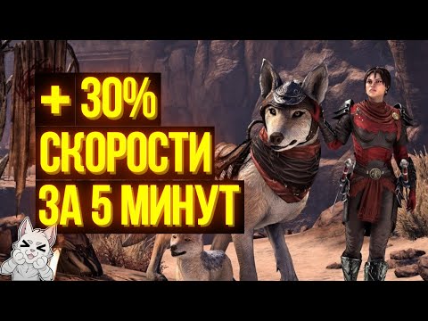 Видео: БЫСТРЫЕ МАУНТЫ ВСЕМ! Как получить 30% к скорости ВСЕХ ваших маунтов за 5 минут? | ТЕСО