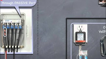 Data Plus Amplifier Training