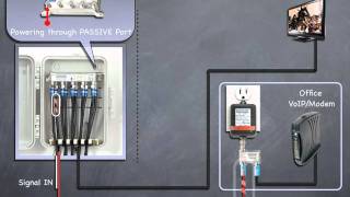 Data Plus Amplifier Training