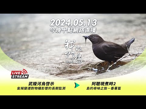 直播放映室【今晚十點 🔴LIVE】2024.05.13 公視我們的島 第1255集 播出