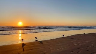 4K Good morning sunrise☀️ Daytona Beach | Surf check