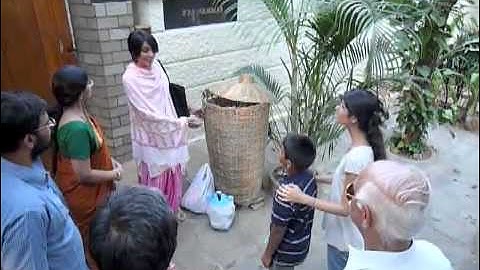 Save Your Leaves - the Daily Dump way